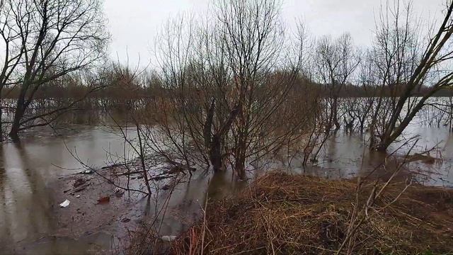 Ока, паводок 16.04.2022, слип в Лукьяново смотреть онлайн