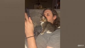 Cute Cats Have The Most Special Relationship With Their Owner BFFs - Cute Cat Moments