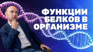 Каковы функции белков в организме? Душкин объяснит