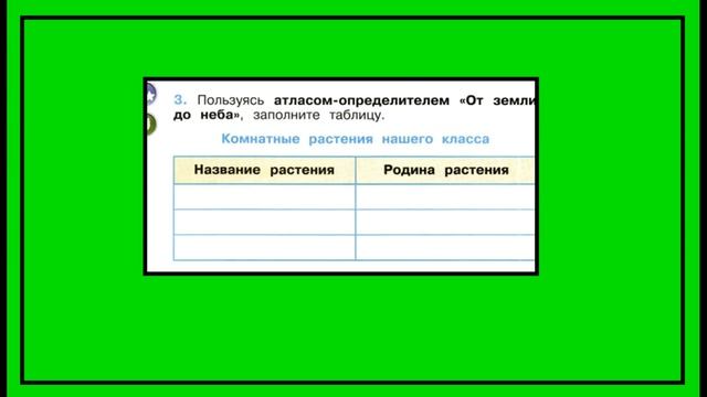 Окружающий мир 2 класс рабочая тетрадь 1 часть. Комнатные растения