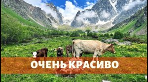 ОЧЕНЬ КРАСИВО. Поход выходного дня в ущелье Курмычи