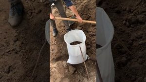 Чернозем (земля) в мешках и навалом. 772666