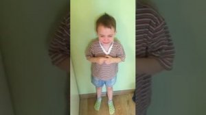 Кто обои оторвал? Серый волк ))) прикол дети