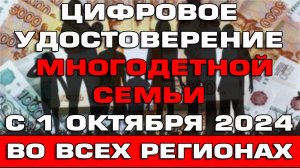 Цифровое удостоверение многодетной семьи с 1 октября 2024 во всех регионах России Новости