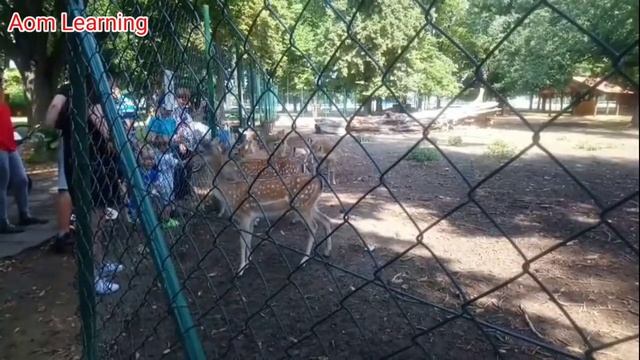 Nitra, Slovakia (City Park)In July 2021 смотреть онлайн