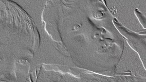 Пародия  на песню  лада седан баклажан