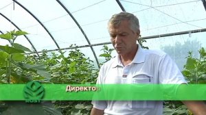 Влияние гумата калия на урожай (2011, Рост концентрат, часть 6, отзывы клиентов)