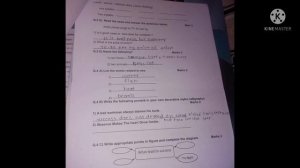 8th class sankelit chachni parbhni English all answer in description and video pdf link in descript