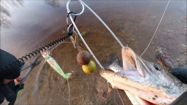 Хорошая щучья вечерка! смотреть онлайн