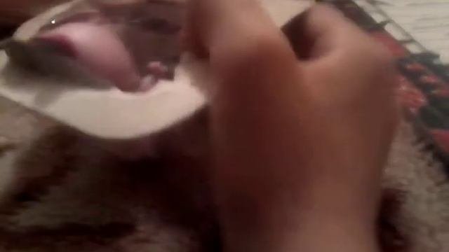 новинка