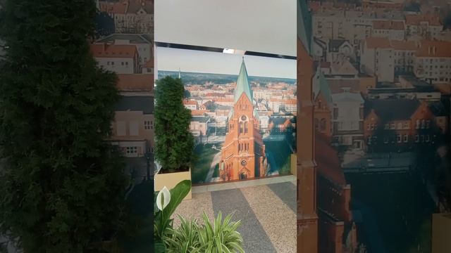 Калининград на выставке МЖК представлен красиво оригинально ярко #клипернедвижимость #МЖК #Таранцов