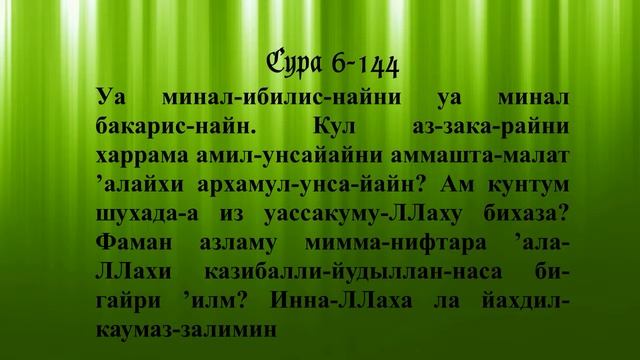 Матка  - Лечение Сурами Священного Корана
