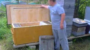 Сравнение дадановский и владимирский улей. Корпуса.