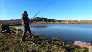 Ловля карпа осенью на флэт фидер | карп сошёл с ума клюёт на 2 удочки