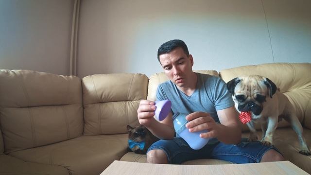 Жажда у собак. Нужна ли вода собаке на прогулке? Из чего поить собаку во время прогулки | sir mops
