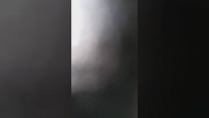 Размножаем виноград семенами