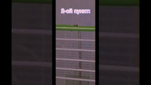 •|Видеоурок "Как уговорить маму на попугая"|•