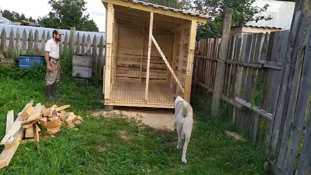 Где берём средства для развития хозяйства и зачем нам два трактора.Вольер для алабайки Айлы.