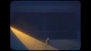 Рем Дигга - Тюльпан (1 час)