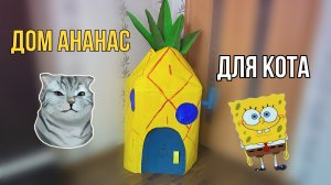 Дом ананас для кота