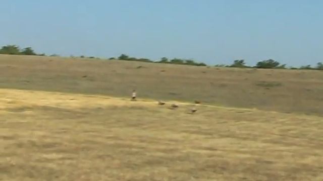 Кусар Каякент3 смотреть онлайн