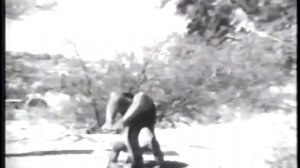 Беллур Кришнамачар Сундарараджа Айенгар