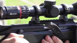 This Took 500 Years! The Burris Eliminator 6 and The Beretta BRX1 vs Wild Boar! {Catch n' Cook}