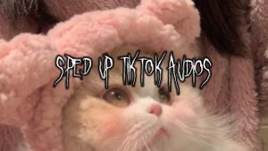sped up tiktok edit audios ♡︎ 85