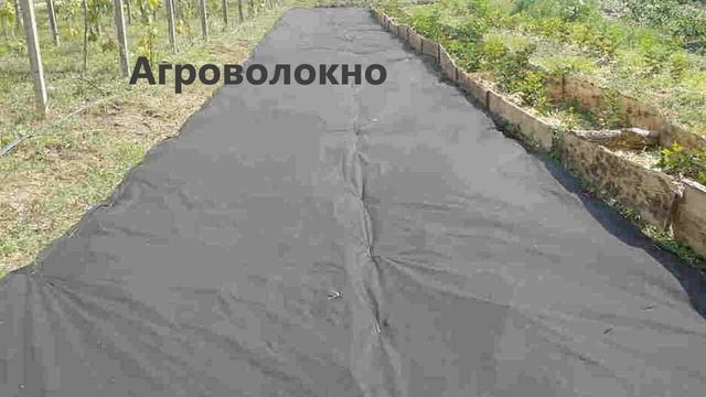 Мульча. Неорганическая.