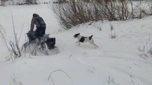 снегоход Разгуляй