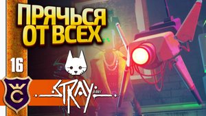 СЕКРЕТНЫЙ ЗНАЧОК, ХИТРОКОТ, ПАЦИФИСТ И ПРОДУКТИВНЫЙ ДЕНЬ! Stray #16