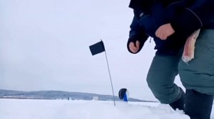 24 ЧАСА НА РЫБАЛКЕ. РЫБАЛКА НА КАМЕ. Зуевы ключи. Ловля щуки на жерлицы.