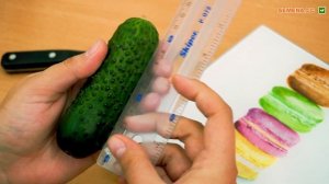 Огурец Бьерн. Видео, отзывы и описание. Растение в теплице. Плод в разрезе. Где купить в Украине?