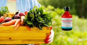 Нашатырь - помощник на даче