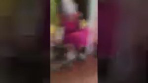 Как надо расчесывать собаку