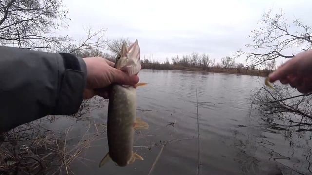 Ловля щуки на ультралайт 2023 смотреть онлайн