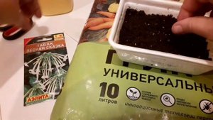 Посев  на рассаду табака декоративного 'Лесная сказка' от агрофирмы "Аэлита"