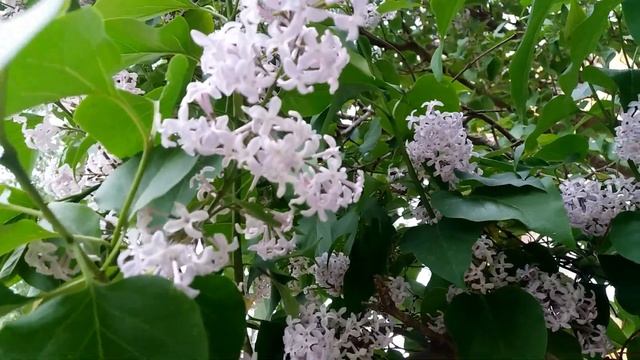 Люди все разные... Каждый человек.....уникален. смотреть онлайн