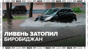 Ливень затопил Биробиджан в Еврейской автономной области - Москва 24
