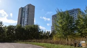 Официантка спасла беременную невестку шефа, а едва богач задал ей вопрос вместо награды, ахнули все