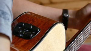 卡玛kepma F1E 加振电箱吉他 guitars review