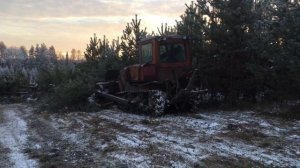 Раскорчевка полей ДТ-75 ( ЭХО 0х)!!!