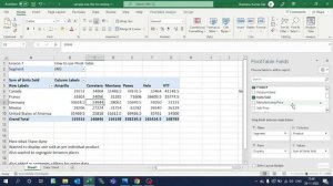 Pivot Table Basic in Microsoft Excel | How to use excel | Learn Excel | excel 2019