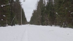 Skoda Octavia Scout - как жить с TSI и DSG?