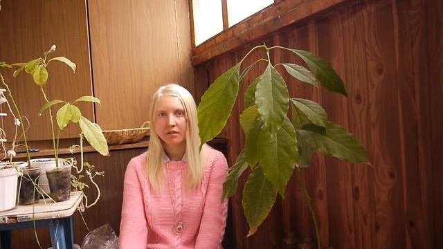 В-12_сыроедение (живое питание) Опыт_Часть 2