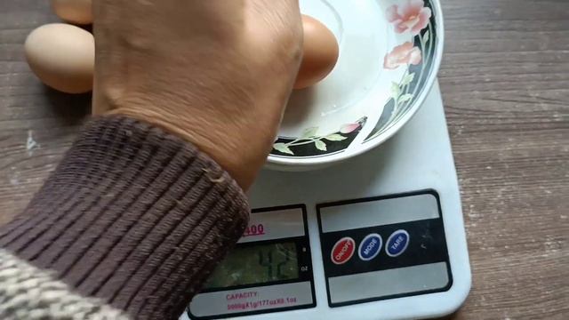 Яйценоскость за вторую неделю. Курица несёт зелёные яйца!