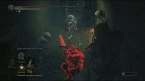 Меч лунного света и ПВП билд воина-интеллектуала, с уроном от Магии в Dark Souls 3