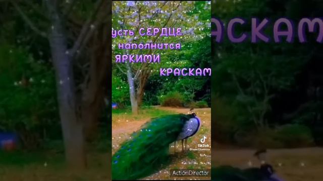 Для хорошего настроения