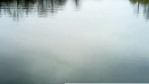 Спиннинговая рыбалка в малой рязани 23 октября