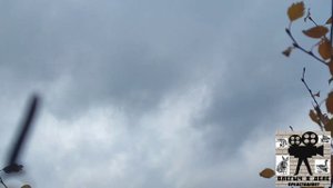 Выезд на гуся 2, просидел по нулям, Гусятники ХМАО поймут, масса гуся, небо черно и весь в космосе